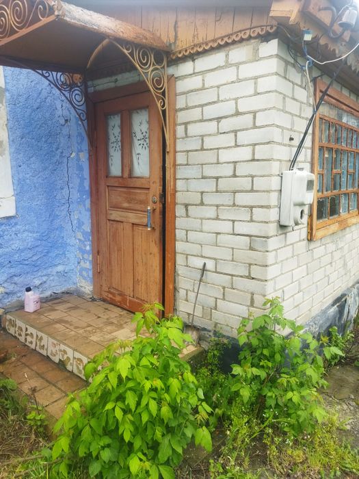 Продається будинок,місце для пасіки