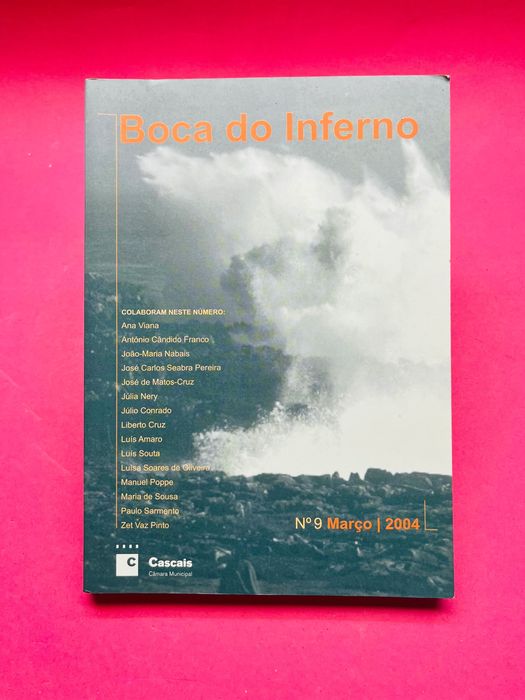 Boca do Inferno Nº9, Ano 2004