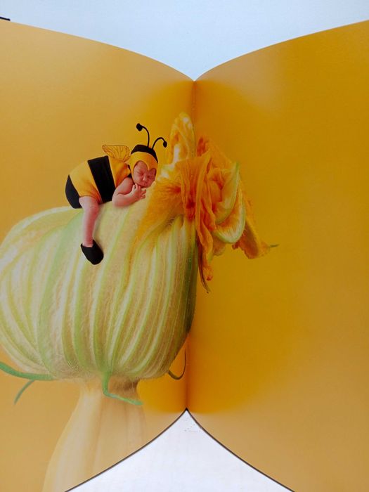 MAIS BARATO - " Um Mundo de Crianças " - de Anne Geddes