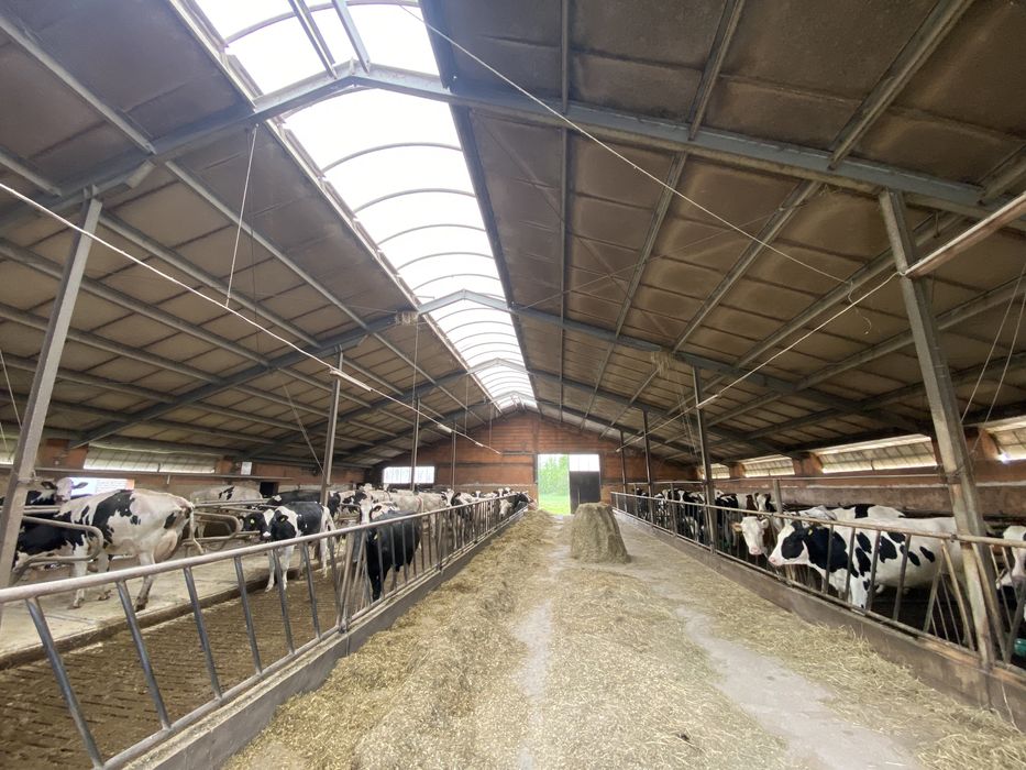 Mycie Fotowoltaiki obory bielenie nacinanie ruszt dachu elewacji