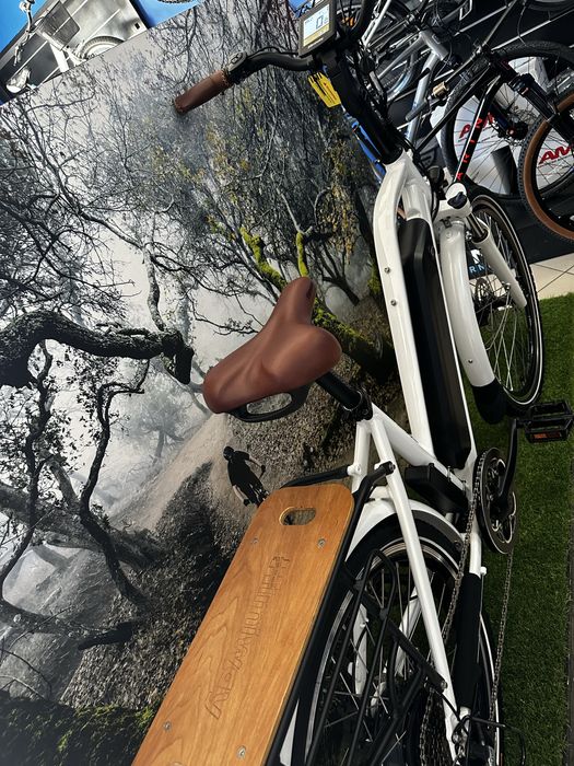 PROMOCJA-Rower elektryczny 26 Himiway 36V/18,2Ah/655Wh - ACTIVE ZONE