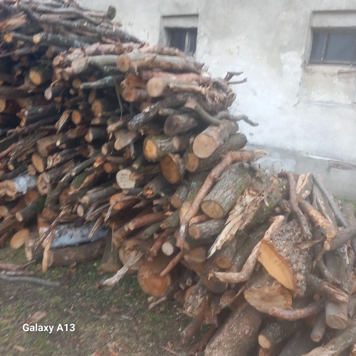 Drzewo opałowe Popielów