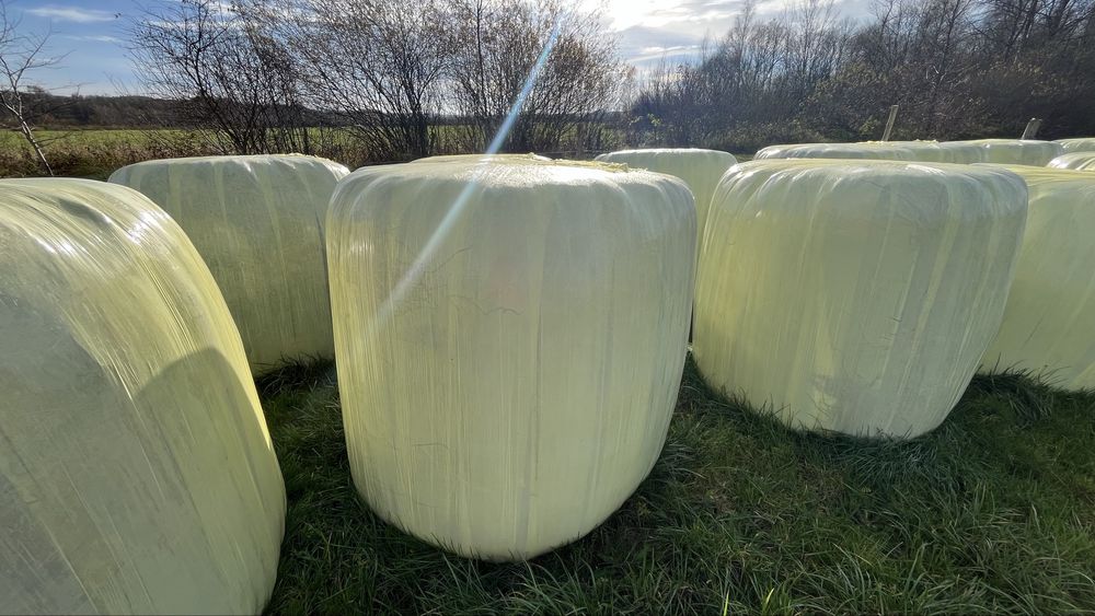 Sprzedam sianokiszonke