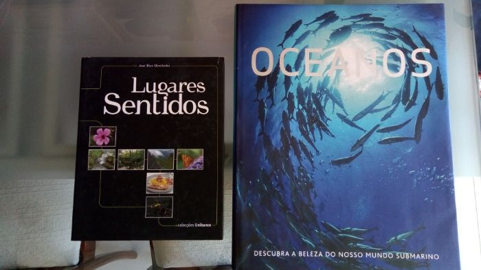 Lugares Sentidos e Oceanos