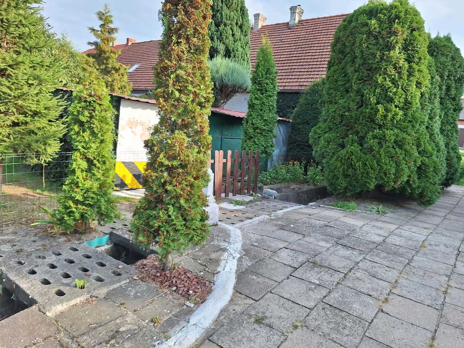 Mieszkanie – Psarskie, powiat śremski - Widok 3