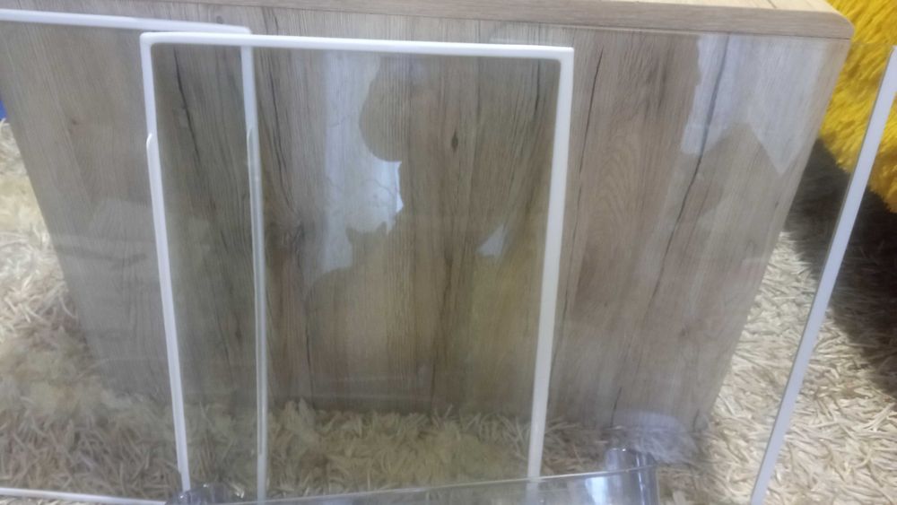 Szklane  półki do lodówki Amica