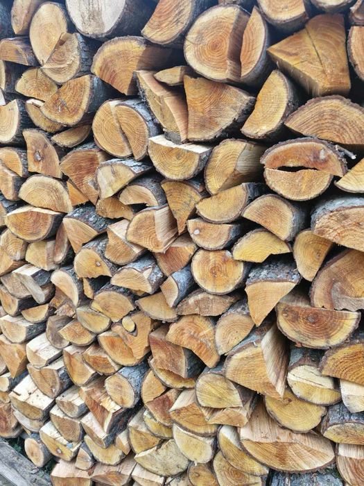 Promocja metr drewno juz od 180 zl