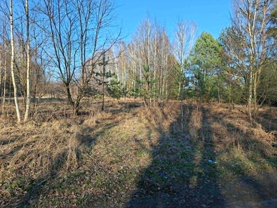 Działka budowlana Radziwiłłów - Widok 4
