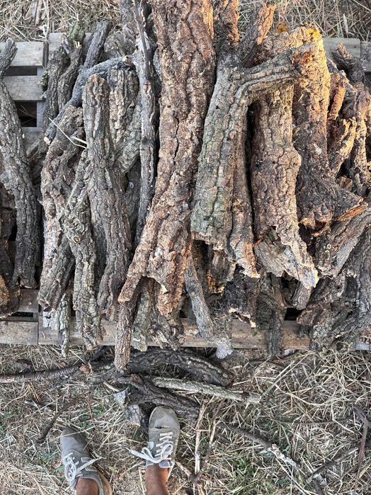 Casca de Sobreiro Ideal para Terrários e Decoração