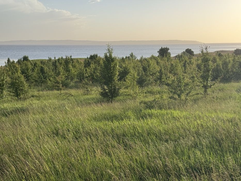 Продаж панорамних  ділянок над Дніпром,село Циблі,від 10 соток до інвестиційного масиву 72 соток