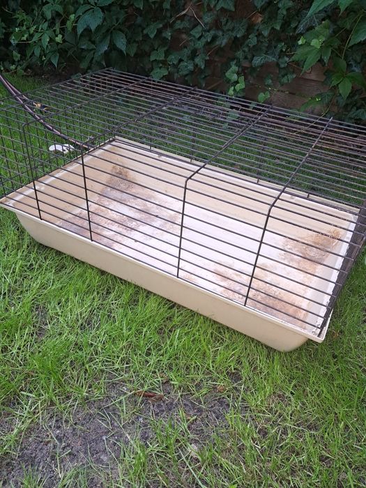 Klatka dla królika