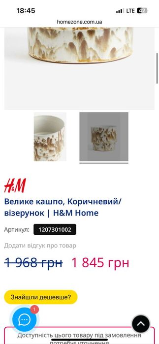 Велике кашпо H&M підвазонник