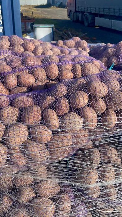 Картопля Товарна Гуртом, Якість із ПДВ