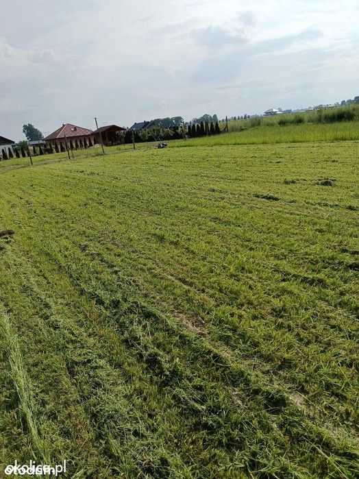 Działka budowlana 1000 m Rochaliki k. Błonia, Nowe osiedle - Widok 3