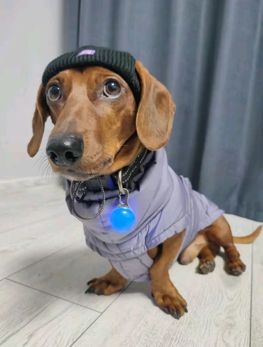 В'язка такси Луцьк