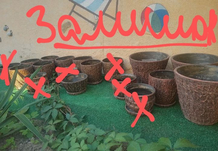 Продам кераміч.горщики для квітів і квіт.паутинка / квіти50 грн