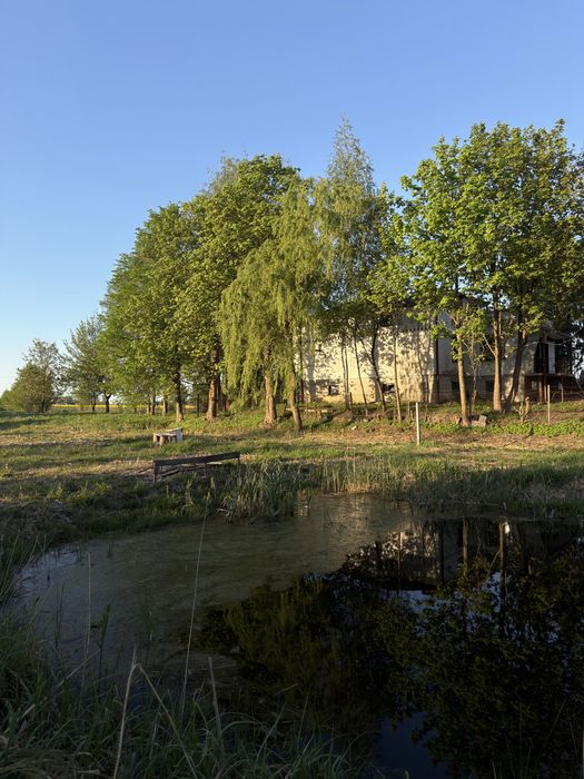 Siedlisko ze stawem, mediami i dużym potencjałem