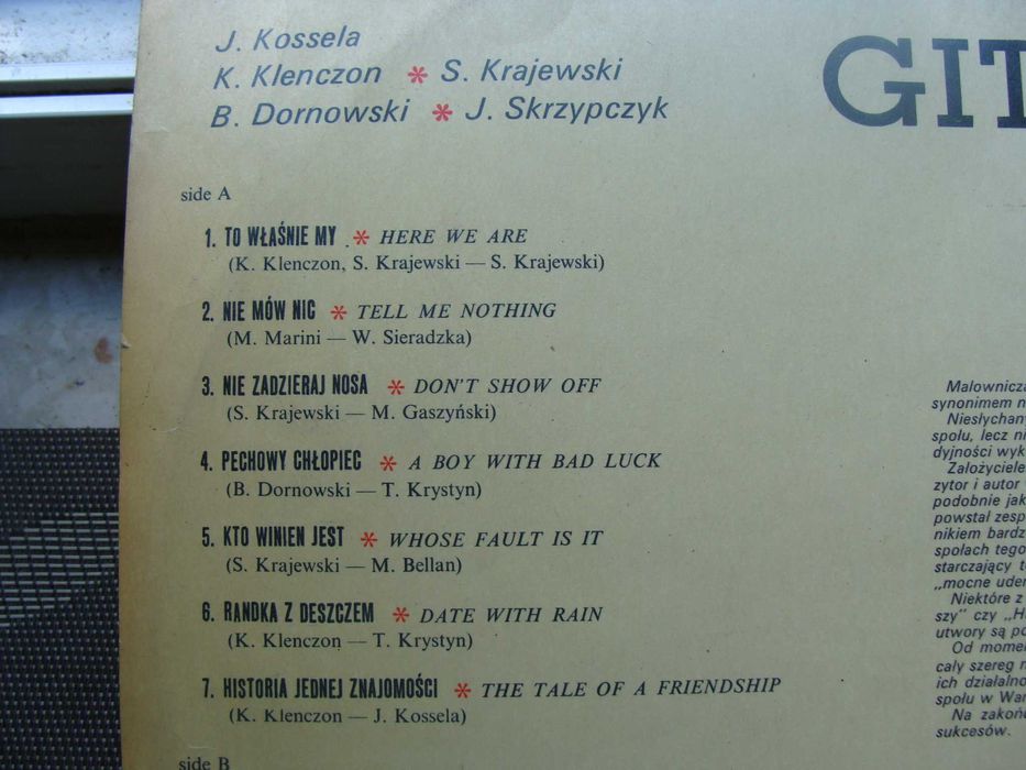 Czerwone Gitary - To właśnie my Winyl (P)