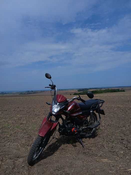 Продам Мустанг фіт 2