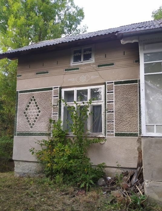 Продається будинок (під дачу) Рошнів