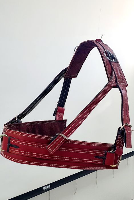 Шлея для коня, натуральна шкіра.