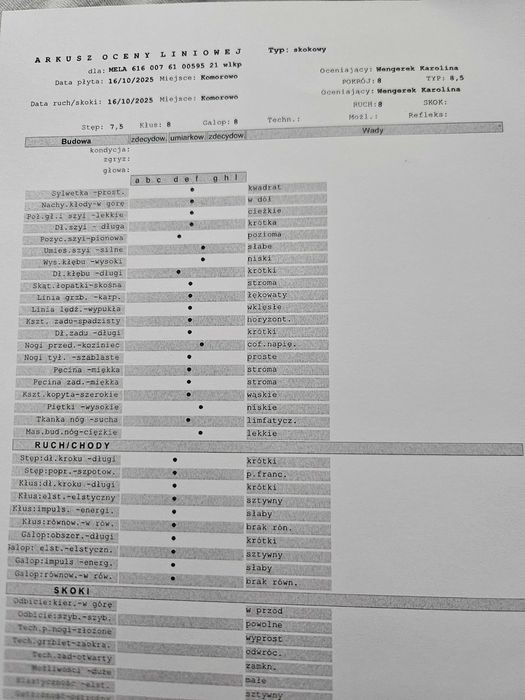 Klacz Wlkp. z licencją. REZERWACJA