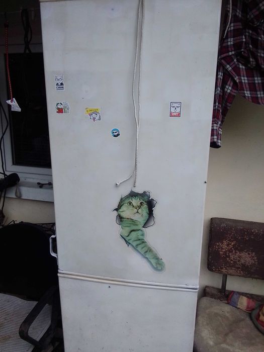 Холодильник Snaige