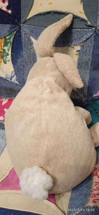 Заиц, дельфин , серые