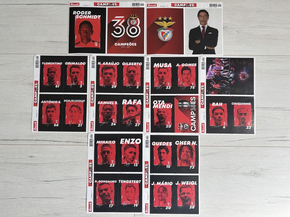 Coleção Record - Campeões 38