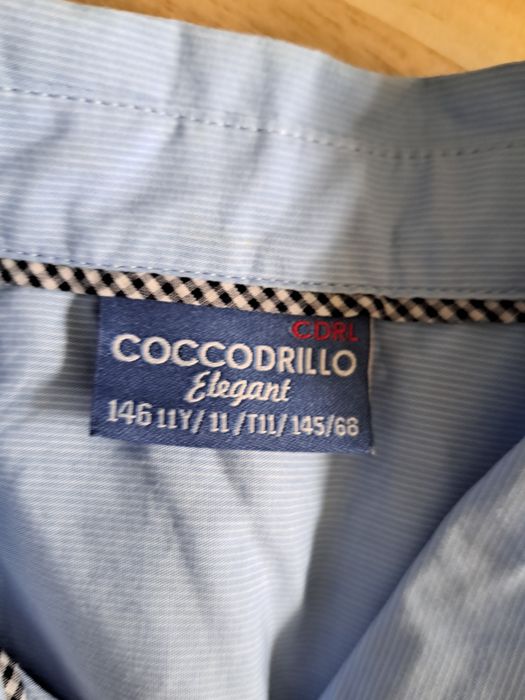 Koszula coccodrillo elegant rozmiar 146