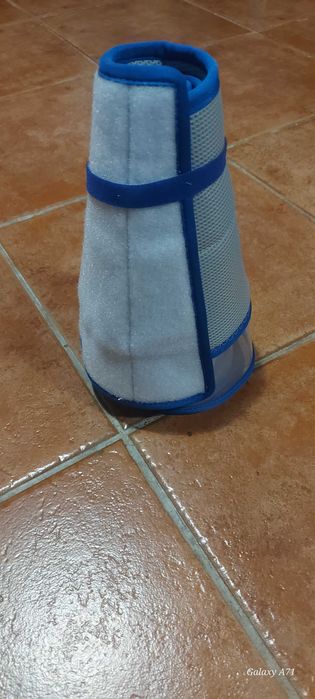 colar de proteção tamanho 5