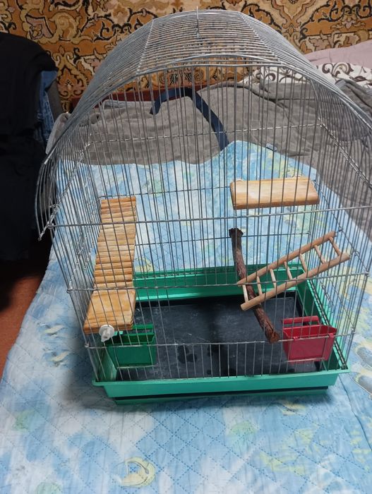 Клітки для птахів