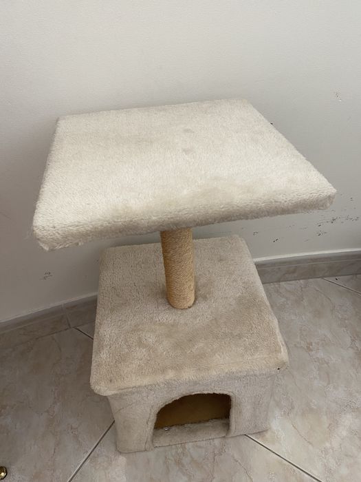 Casinha para gato animais pets