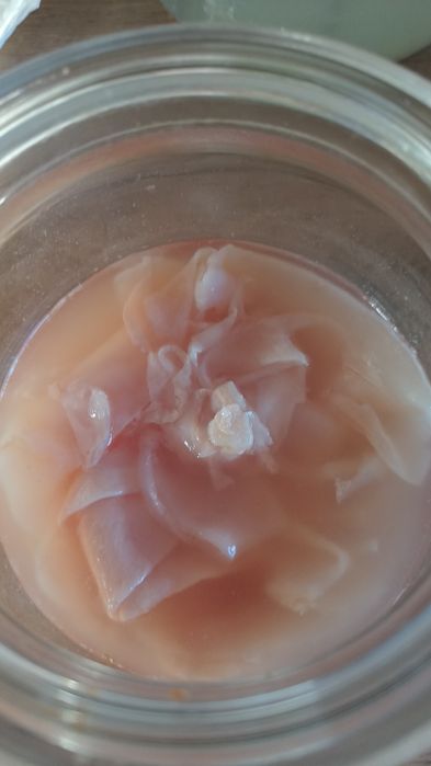 Matka octowa starter do domowego octu