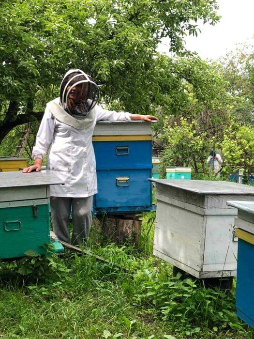 Смачний мед зі своєї пасіки