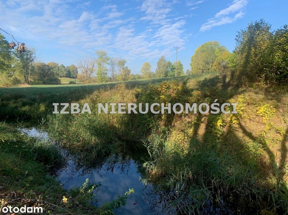 Działka, Bienie