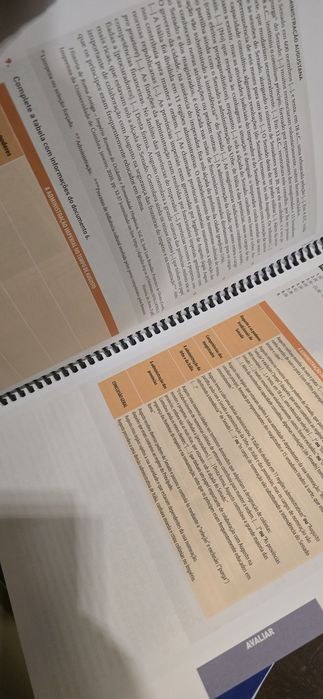 Linhas da História 10 - Dossier de Professor - 10⁰ Ano