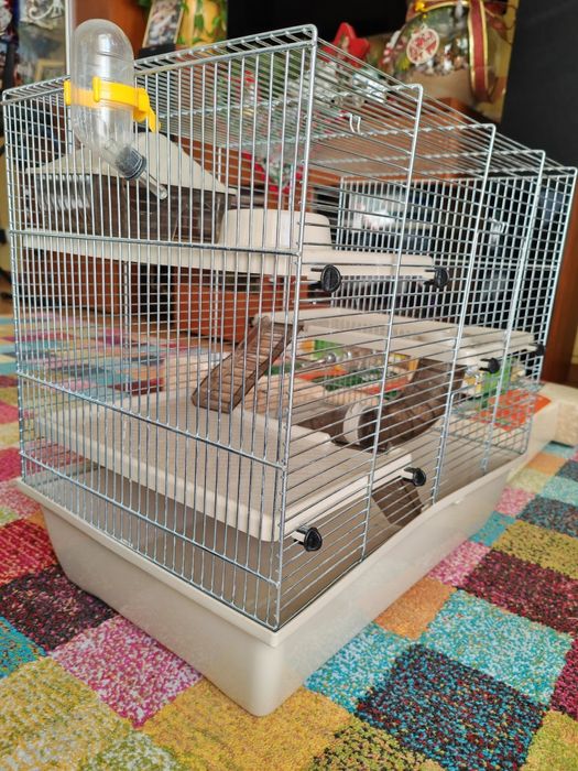 Klatka dla gryzoni INTER-ZOO Pinky 3 transporter+ trociny+ karma itp.