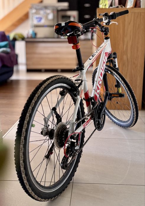 Rower mlodzieżowy Cross Level Replica 24 cale