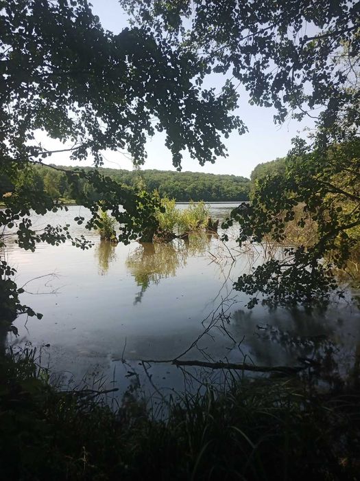 Продається земельна ділянка в Майдан-Чапельский