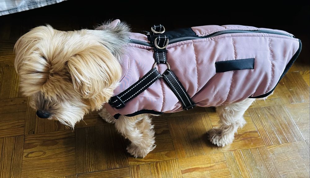 Casaco de Inverno para Cão de Raças Pequenas a Médias