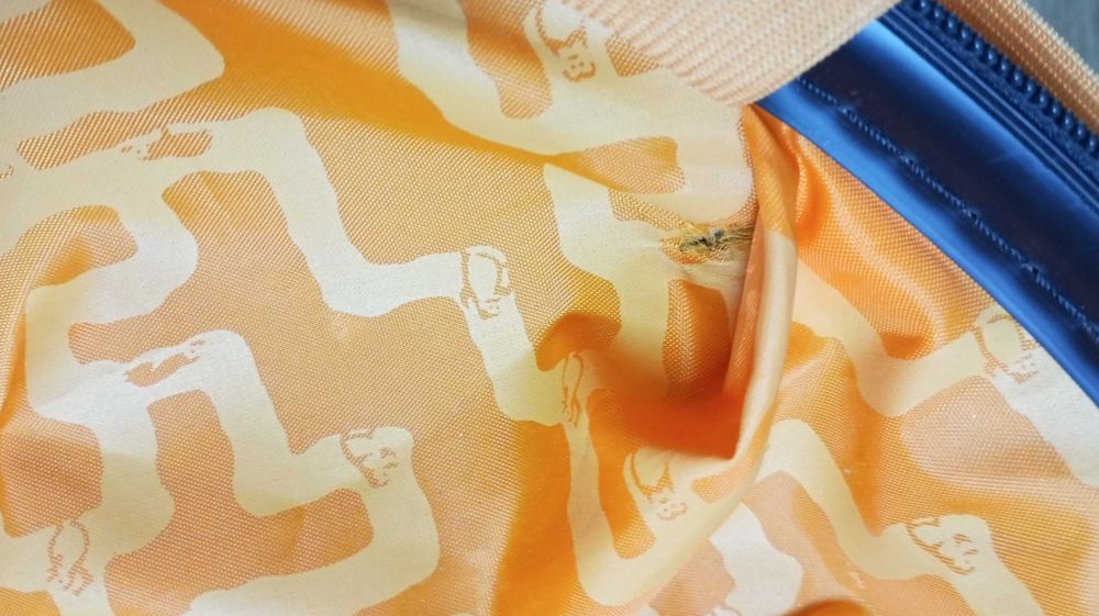 Walizka pingwiny z Madagaskaru