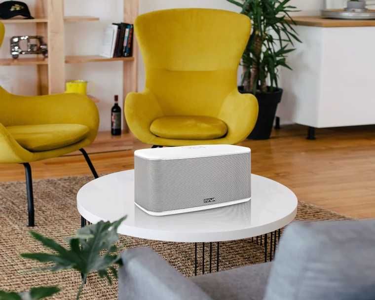 Аудиосистема Riva Festival (США)