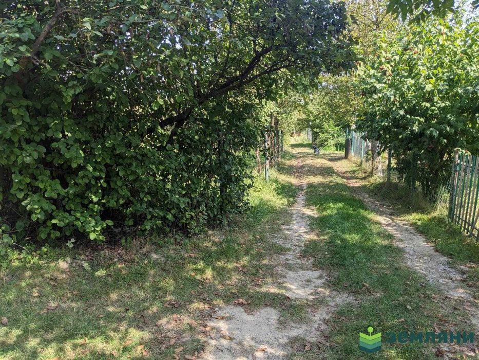 Продаж Дачі 5,01 сот в с.Вовчинець, СТ Агрохімік (5)