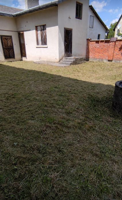 Продам будинок с.Задністря