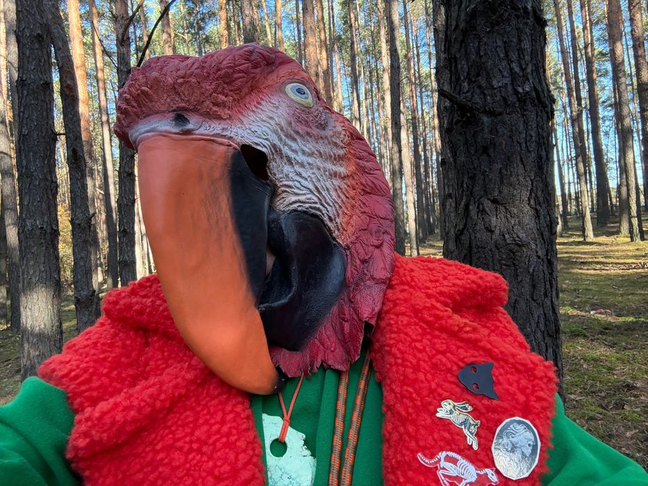 Maska karnawałowa: Papuga Ara. Dla dorosłego, rzadka.