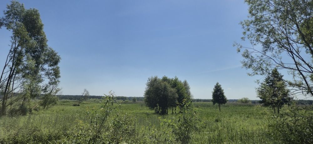 Działka rolna , łąka , Odrynki gmina Narew , powiat hajnowski
