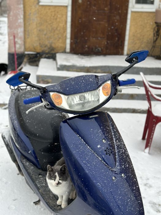 Мопед Хонда Діо62