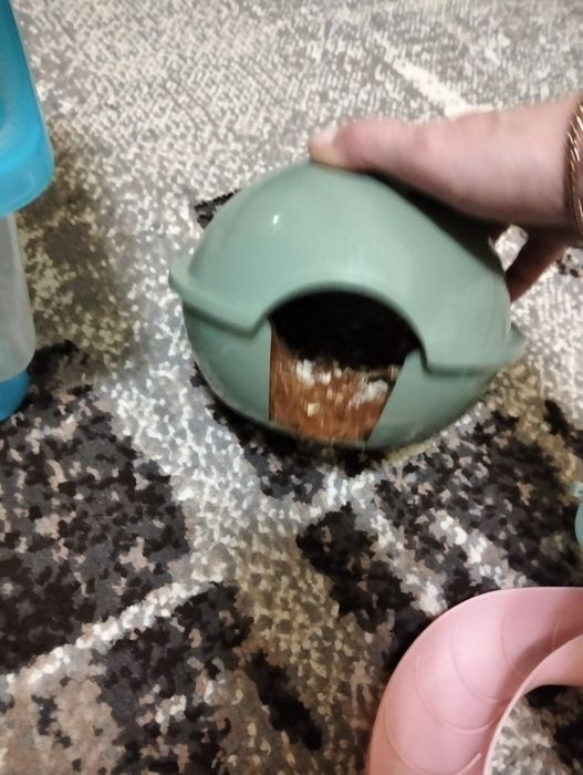 Продам аксессуары для хомяка