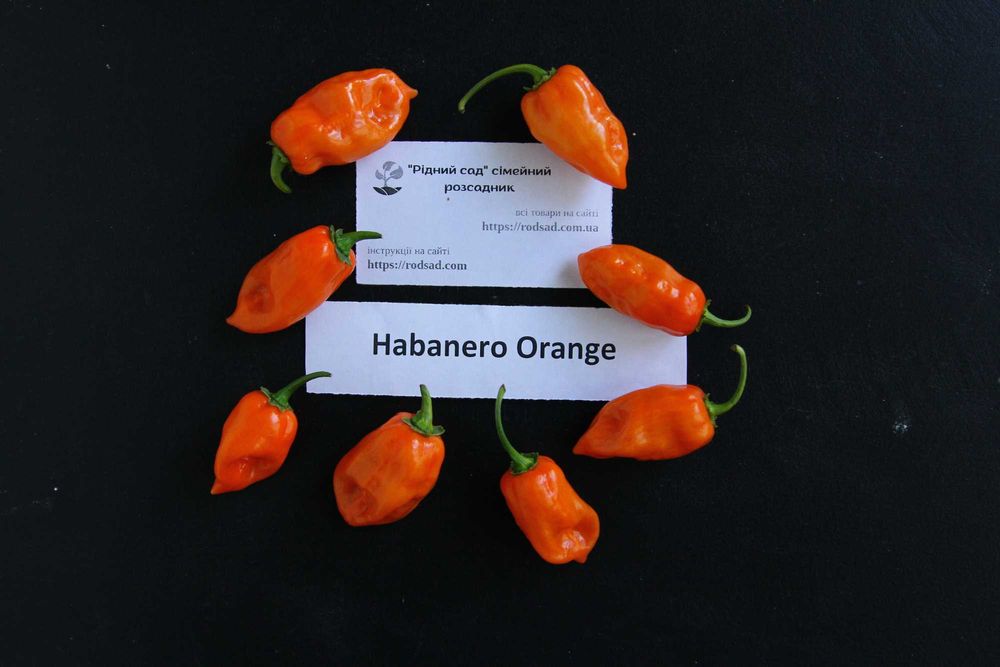 Перець гострий насіння (24 сорти) семена суперхотов острый гіркий
